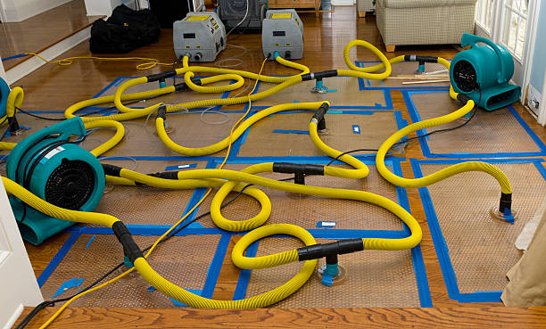 Professional Structural Drying And Dehumidification technician working in Dunn, NC